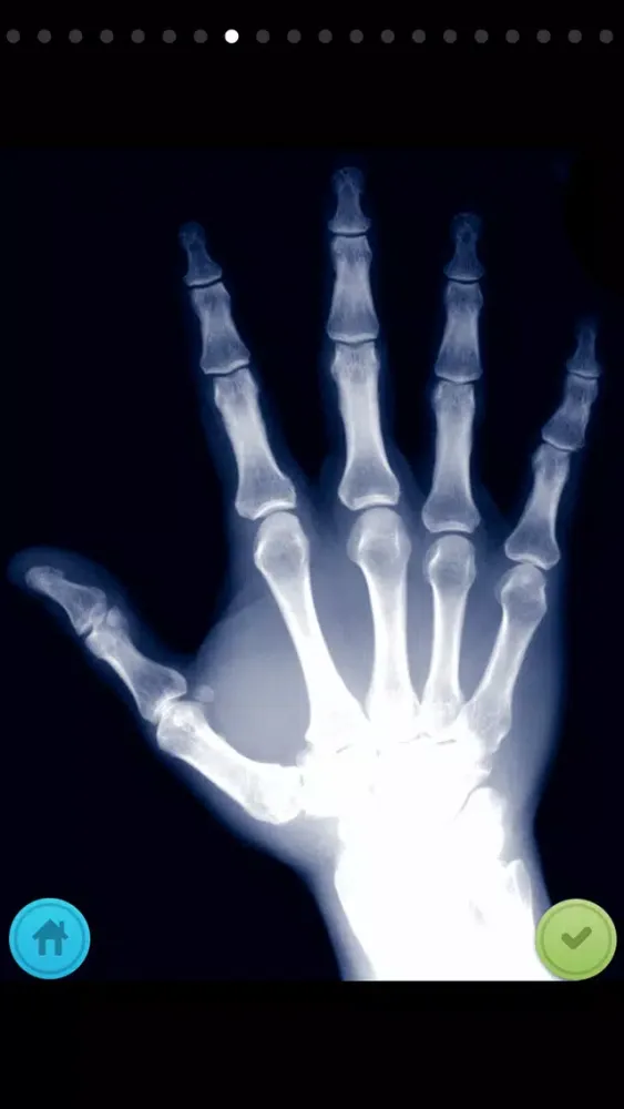The X-Ray Scanner Ekran Görüntüleri