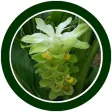 Tra cứu Động vật Thực vật