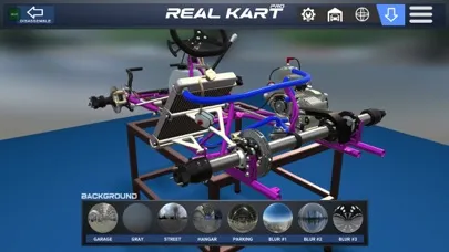Real Kart PRO سکرین شاٹس