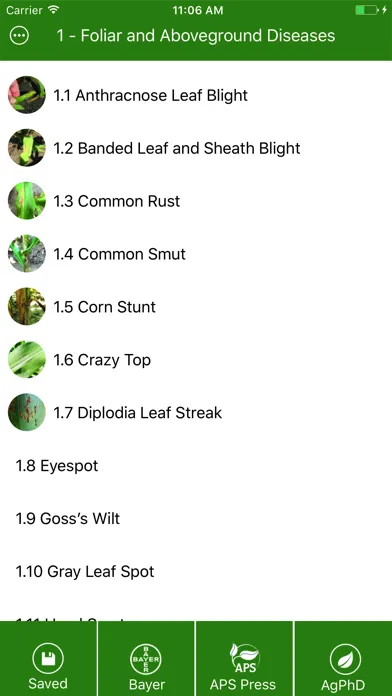 Capturas de pantalla de Corn Diseases