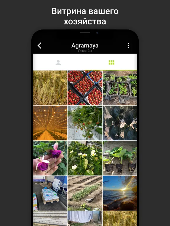 Аграрная Россия iPad 應用截圖