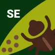 PestFacts SE