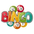 Bingo - Numeric Board Game