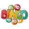 Bingo - Numeric Board Game