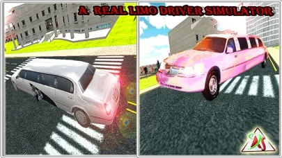 Flying Limo City 2016 Simulator – Future Limousine Parking with Air Plane Driving Controls Screenshots