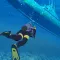 Secret Agent Underwater: Scuba Diving