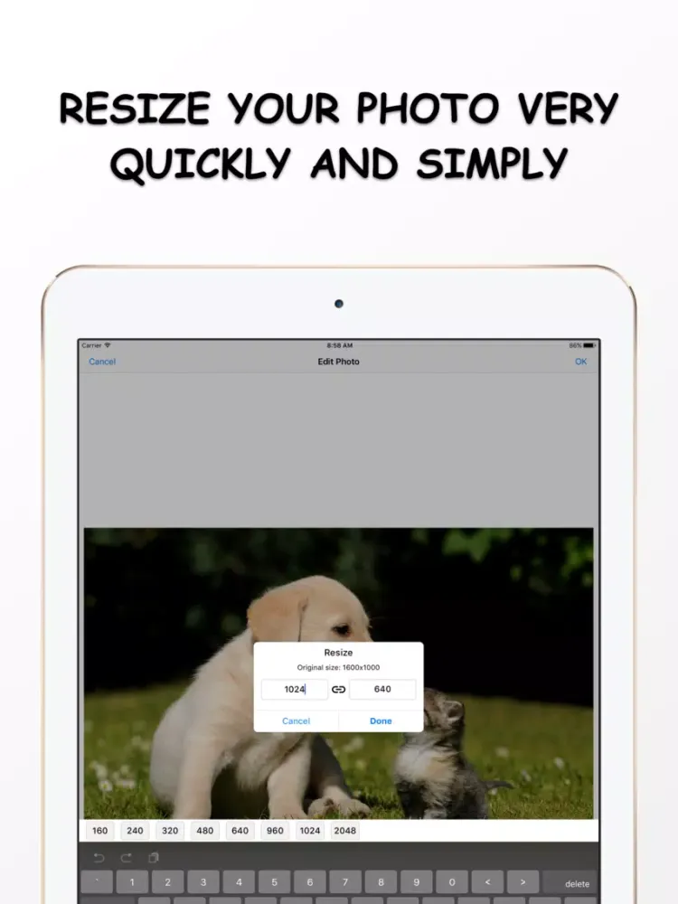 Tangkapan skrin Photo Resizer - Resize and Filter your image Free iPad 