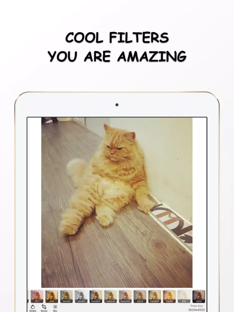 Tangkapan skrin Photo Resizer - Resize and Filter your image Free iPad 