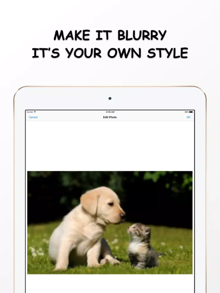 Tangkapan skrin Photo Resizer - Resize and Filter your image Free iPad 
