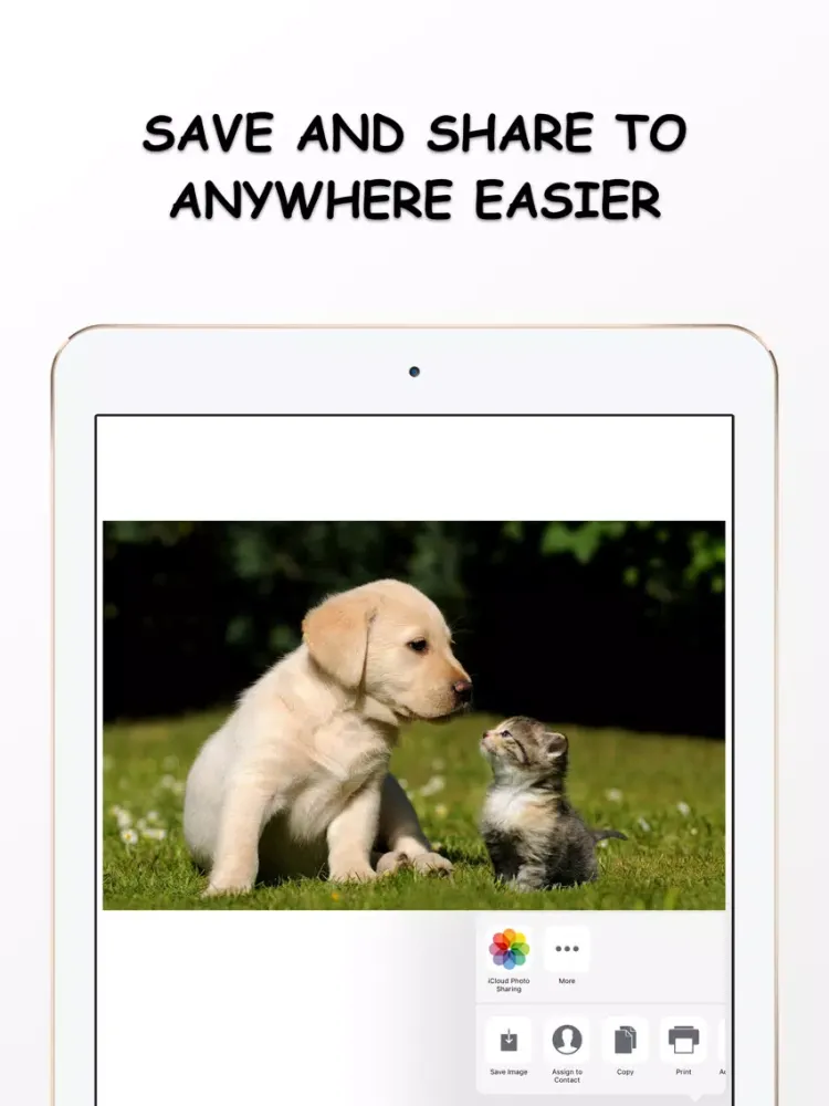 Tangkapan skrin Photo Resizer - Resize and Filter your image Free iPad 