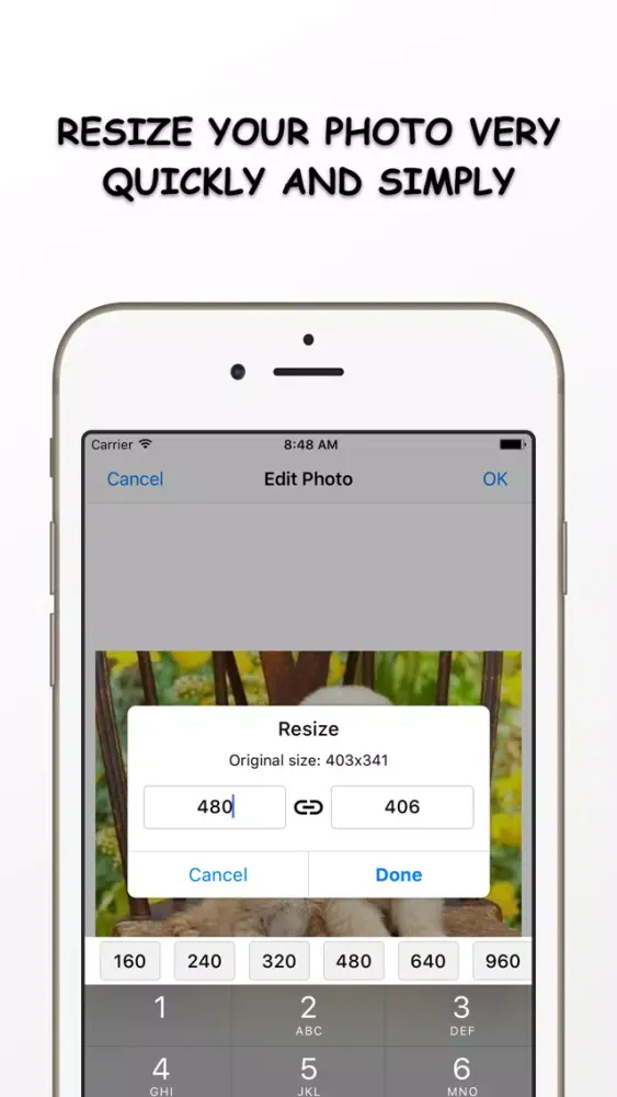 Tangkapan skrin Photo Resizer - Resize and Filter your image Free