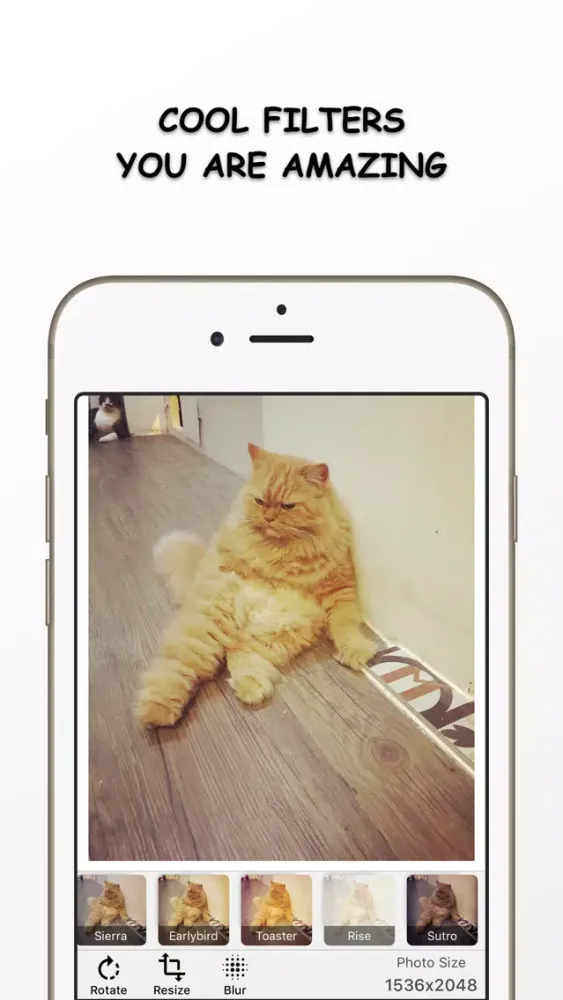 Tangkapan skrin Photo Resizer - Resize and Filter your image Free
