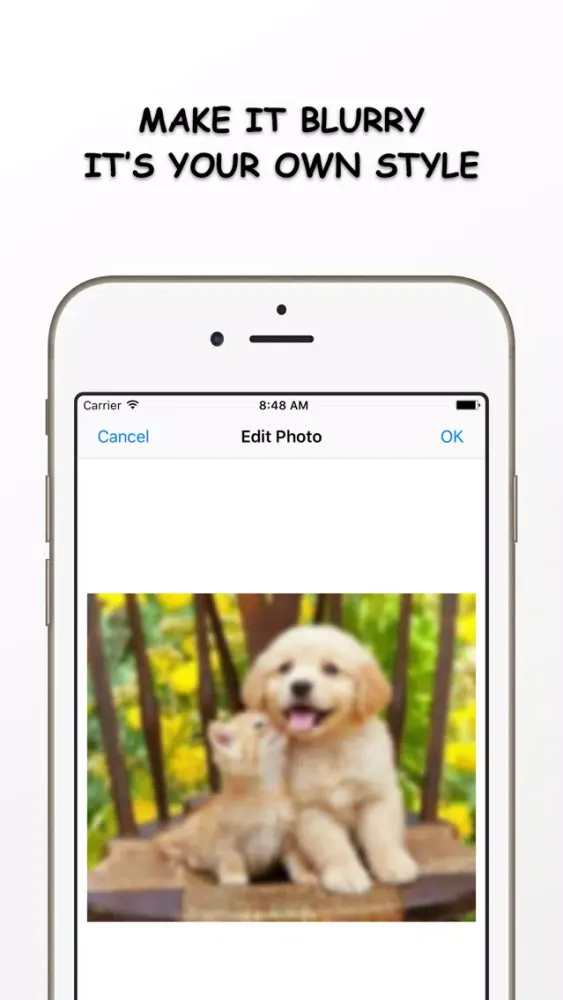 Tangkapan skrin Photo Resizer - Resize and Filter your image Free