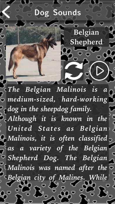 Barking Dog Sounds Ekran Görüntüleri