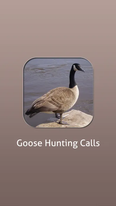 Tangkapan layar Goose Hunting Calls!