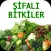 Şifalı Bitkiler