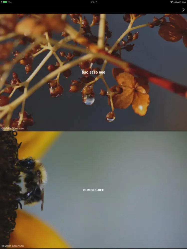 Screenshot di Sabbeh iPad 