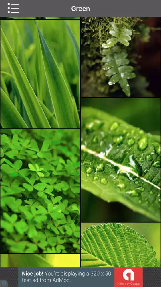 Colorful Screen - High resolution wallpapers for your device স্ক্রিনশট