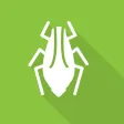 Aphid Advisor