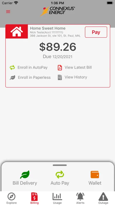 Connexus Energy Screenshots