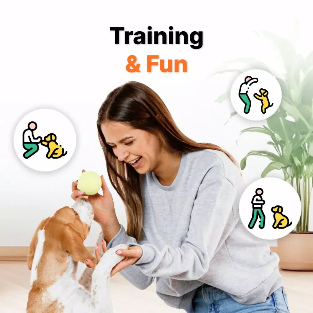 Tangkapan layar Human to Dog Translator