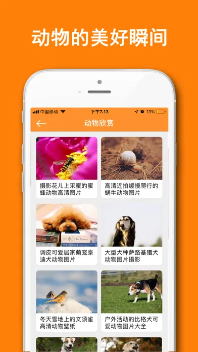 Скриншоты 动物识别器-智能识别动物百科大全