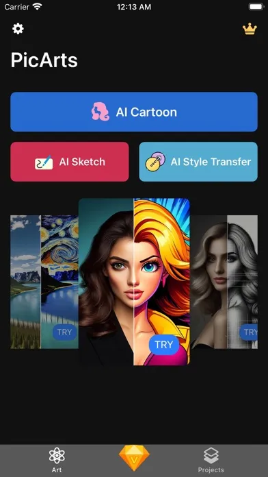 صور PicArts-AI Arts Generator