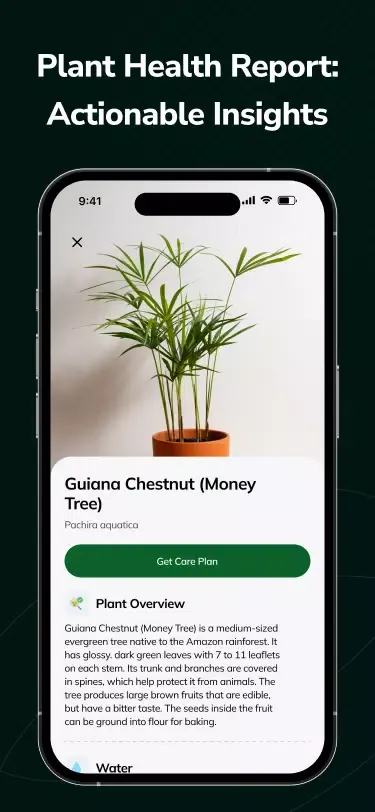 AI Plant Disease Detection App应用截图