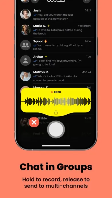 Tangkapan skrin Vocalz: AI Voice Messenger