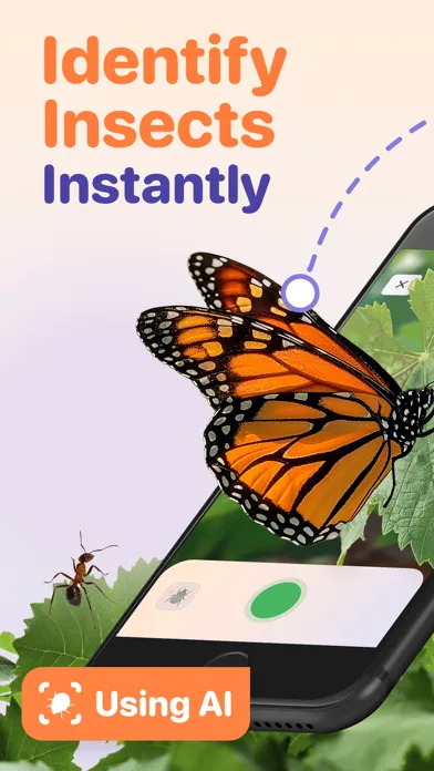 Bug ID - Insect Identifier应用截图