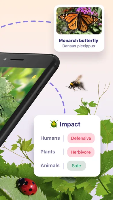 Bug ID - Insect Identifier应用截图
