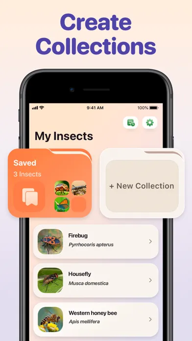 Bug ID - Insect Identifier应用截图