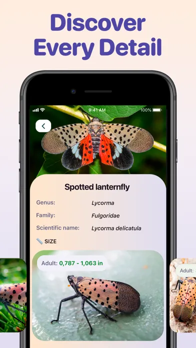 Bug ID - Insect Identifier应用截图