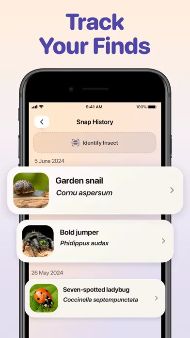 Bug ID - Insect Identifier应用截图