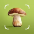 Mushroom ID: Forage Identifier
