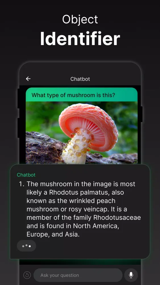 AI Chatbot Screenshots
