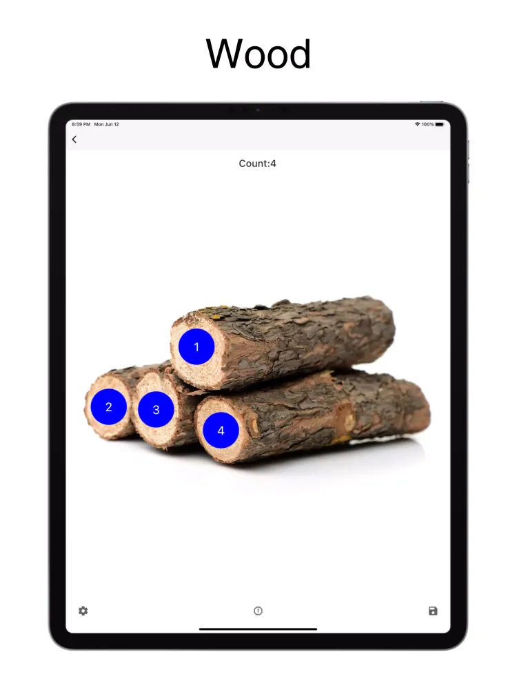 QuickCount Screenshots