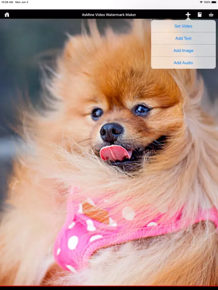 ภาพหน้าจอของ itsMine Video Watermark Maker iPad 
