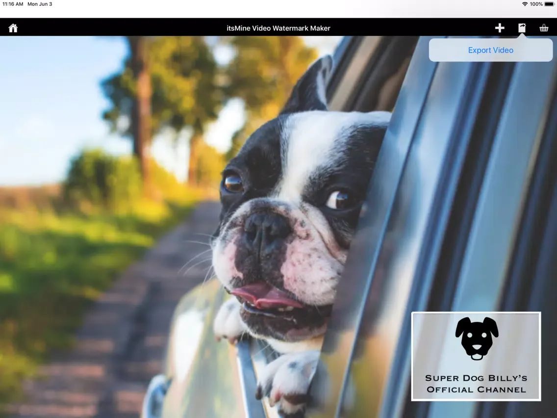 ภาพหน้าจอของ itsMine Video Watermark Maker iPad 