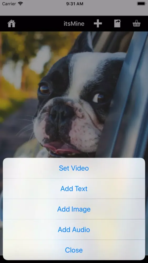 ภาพหน้าจอของ itsMine Video Watermark Maker