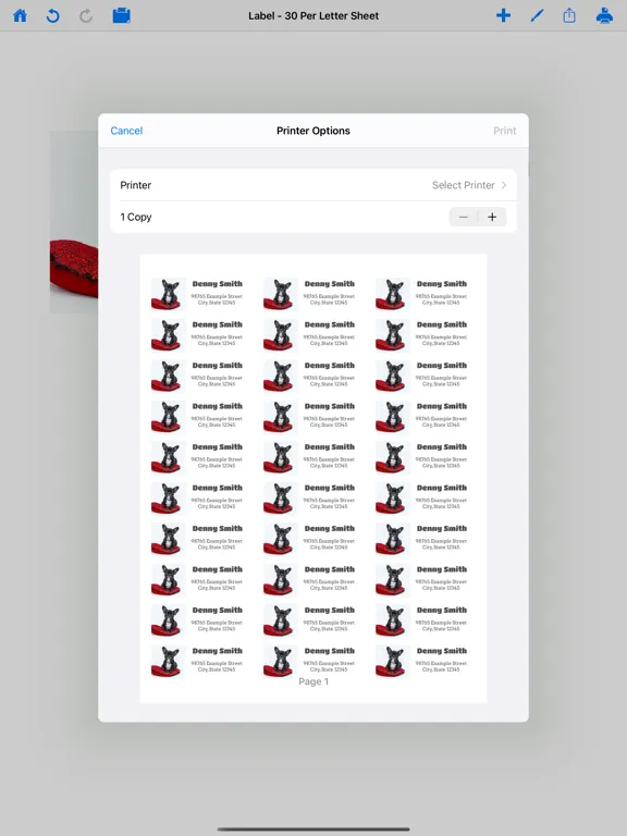 Ảnh chụp màn hình của Mailing Label Designer iPad 