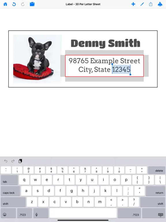 Ảnh chụp màn hình của Mailing Label Designer iPad 