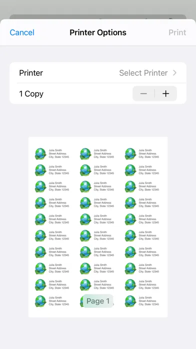 Ảnh chụp màn hình của Mailing Label Designer