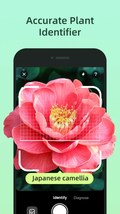 Plant AI: Identify & Diagnose應用截圖