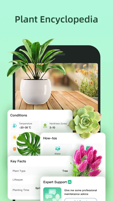 Plant AI: Identify & Diagnose應用截圖