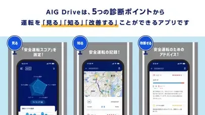 AIG Drive স্ক্রিনশট