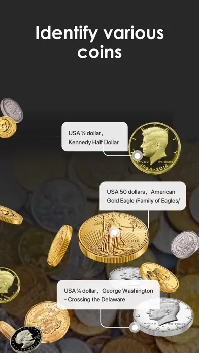 Screenshot di iCoin - Identify Coins Value
