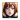 AIBabe