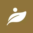 Moxibustion Health Hall Moxibustion Health Hall