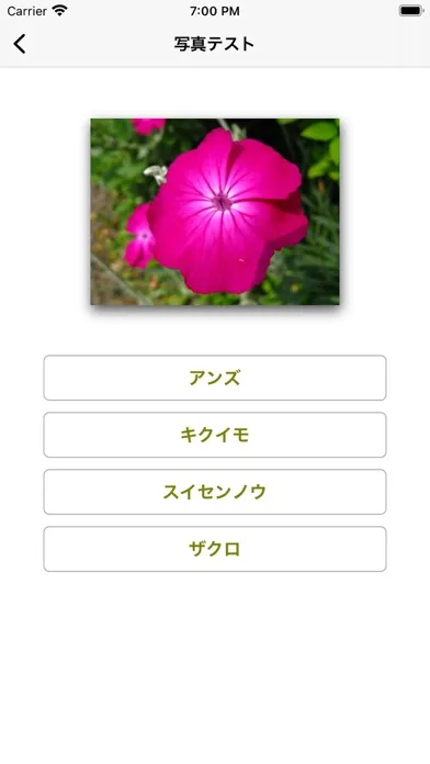365日の花 誕生日の花 Ekran Görüntüleri